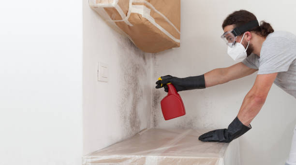 Professional Black Mold Remediation technician working in Hayes, VA